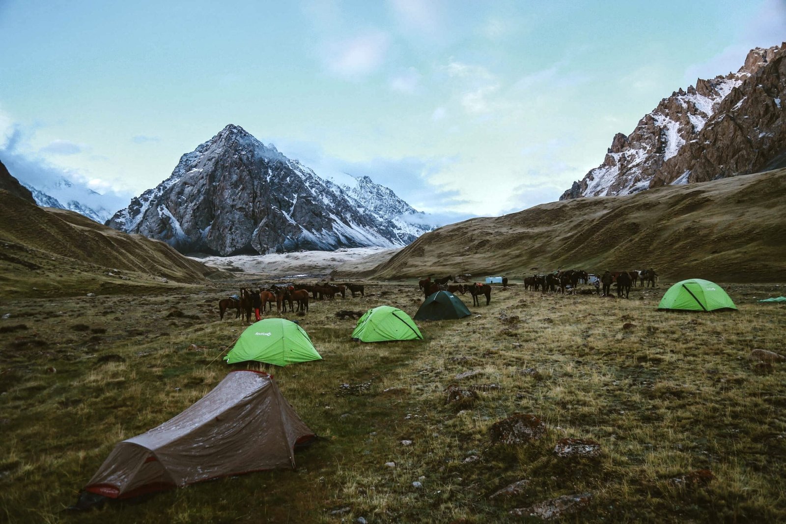 A serene basecamp is set against the dramatic backdrop of rugged snow-capped peaks and expansive grasslands, with a group of horses gathered nearby. The scene is part of Tenti’s Snow Leopard Photo Hunting Tour, offering an authentic outdoor adventure in the heart of Kyrgyzstan’s mountainous wilderness.