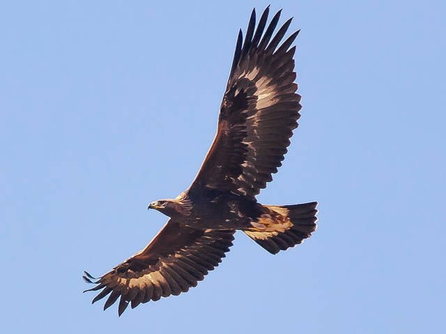 f5985e2fc7a293902816db20f5f8ca35ae56a815